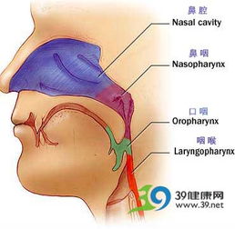 三类症状或为鼻咽癌早期征兆