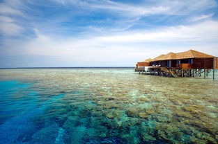 马尔代夫丽笙旅游探索热带天堂的绝佳去处（马尔代夫莉莉岛旅游攻略）