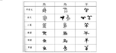 汉字的演变图片大全 信息图文欣赏 信息村 K0w0m Com