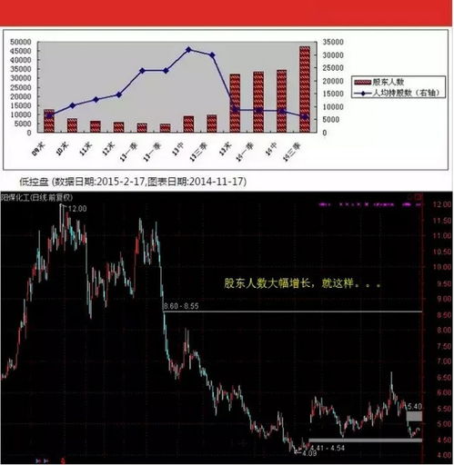 有谁可以给我分析一下这个股票的基本面吗，这里这么多项要看哪些