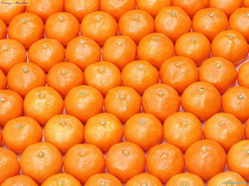 砂糖桔什么产地最好吃,中国比较有名的橘子