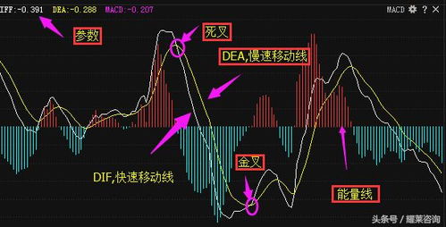 老股民教你巧用MACD指标炒股,简单易学,轻松获利