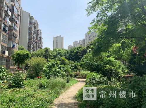 违建成风 常州一小区被业主吐槽差到离谱,中介都不建议买