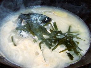 鱼头海带汤的做法