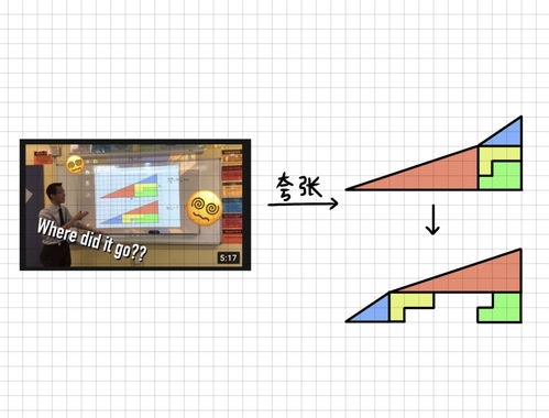 HOMO宇宙的114个冷知识