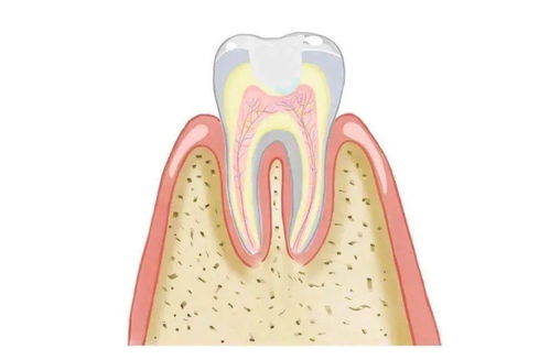 医大口腔牙体牙髓科医生