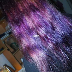 自己染发 紫色渐变 染一次掉三个颜色