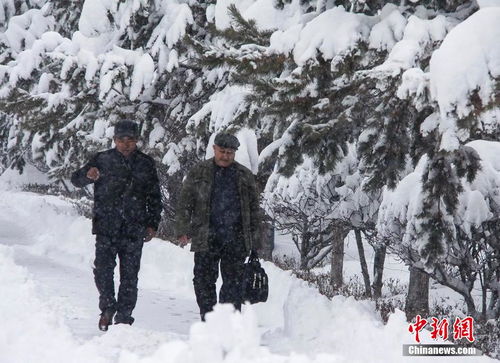 新疆阿勒泰遭遇暴雪 部分道路积雪超30厘米 