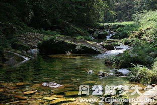 梦见湖泊有青苔是什么意思 梦到湖泊有青苔好不好 大鱼解梦网 