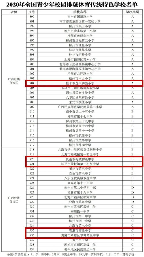 重庆市2021年普通高校艺术类招生专业统考简章来啦