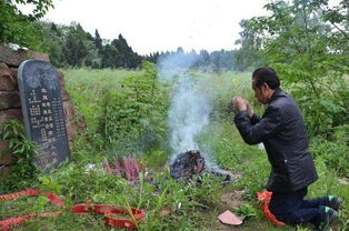 清明节上坟祭祖是先修坟还是先烧纸钱有何讲究为何要这样做 