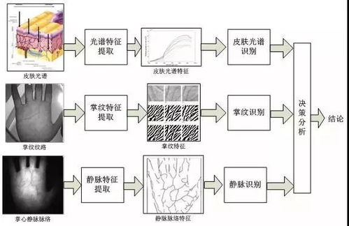 掌纹识别 确认过掌纹,我遇上对的人