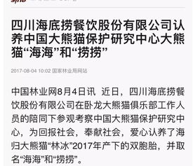 给熊猫取名是严肃的事,能不能别这么为所欲为啊