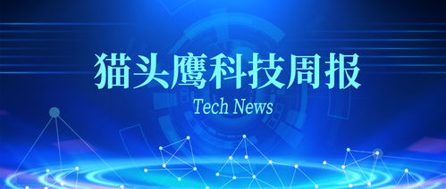 对于安徽搜歌提出的科技智能KTV项目总裁朱总提出了什么想法？