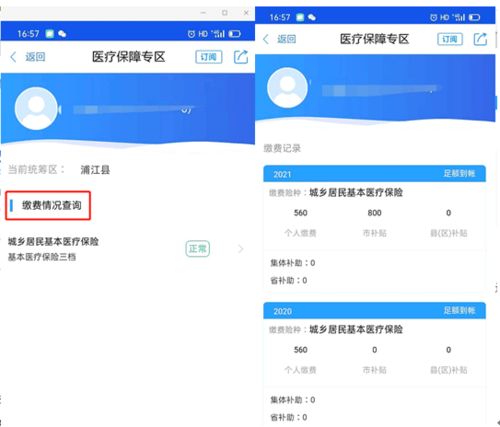 怎么查大病医疗缴费记录(怎么查大病医疗保险缴费)