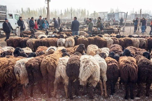 颜值秒杀土耳其 色彩不输摩洛哥 中国最难抵达的秘境,仅0.1 人去过