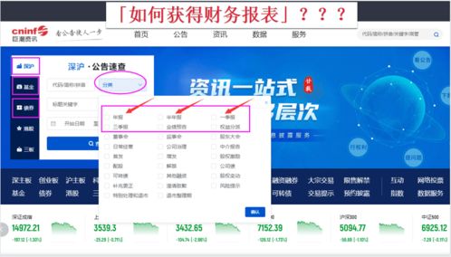 我怎样获取我想要的公司的年报