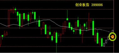 请问我已经开通账户了，但他们没帮我开通创业板，请问可以网上增开通创业板吗？