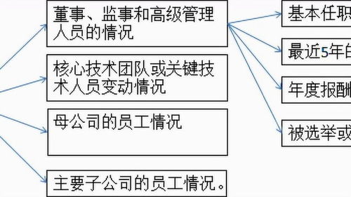 上市公司年报怎么分析 主要是看这几条