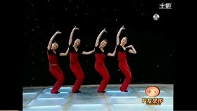 华彩民族舞考级舞蹈 十二级