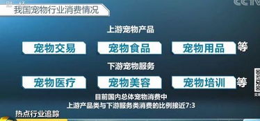 宠物用品企业利润有多高 铲屎官们你一定想知道