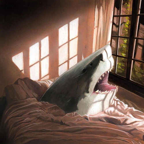 他每天晚上,都要梦见鲨鱼
