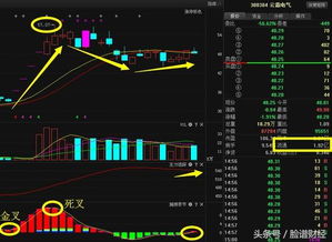 000635英力特这只股票怎样.周一买入可以吗?请各位高手分析一下.谢谢