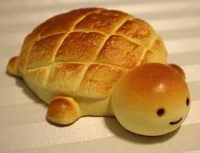 小乌龟吃面包不 吃多少 
