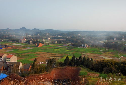 四川省资阳市安岳县龙台镇 