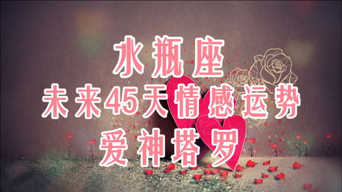 爱神塔罗 水瓶座未来45天情感运势,不再全心信任,或许需要转变 