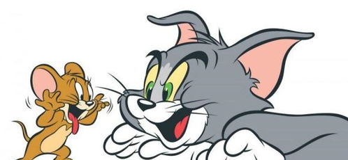 童年动画中的动物原型,汤姆猫原来是这种猫,比动画里可爱多了