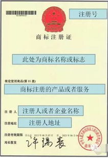 商标注册证真假查询的详细步骤是什么？