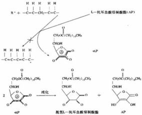 L 抗坏血酸棕榈酸酯的物理和化学性质