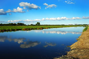 荷兰风景圩田草甸4k风景高清背景素材图片设计 模板下载 2.50MB 其他大全 