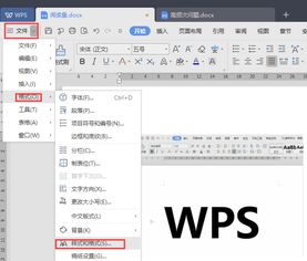 wps 如何删除文字格式 