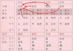 t110 白鹤 2号位10联 第3张 7788收藏 中国收藏热线