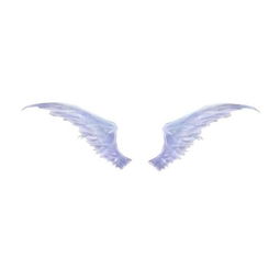 天使和恶魔的翅膀 图片 