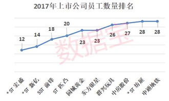 在哪里可以看到股票的年报情况