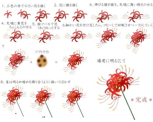 彼岸花画法 图片搜索