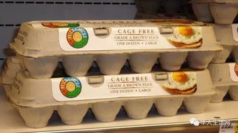 在美国买鸡蛋是门大学问,不是挑个头,要这样选 