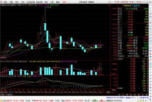 天通股份600330站稳了14.7的最重要的支撑区域以后,现在反弹到16.30甚至到了16.79,该股票什么走势?