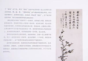 写给中国人的艺术启蒙,让你博闻而有趣