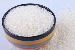 一般买粳米还是买籼米 五常大米是籼米还是粳米