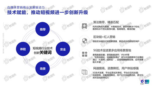 微博易 2020年自媒体商业价值白皮书 附下载