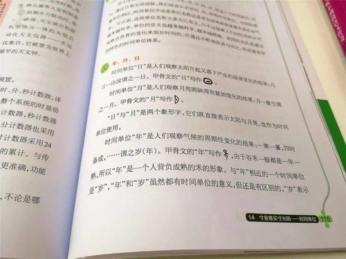 课堂上学不到的知识,给孩子一个充实的暑假