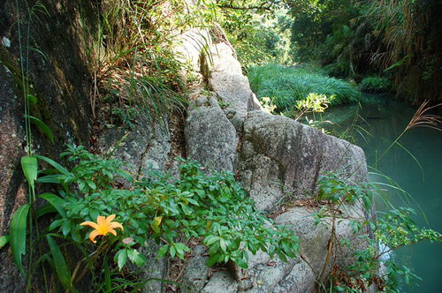 厦门同安野山谷