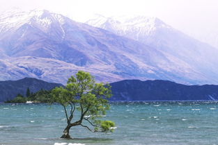 新西兰有什么好玩的,新西兰旅游景点推荐,新西兰景点排名