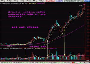 股票交易未成功，三点以后如何撤单？谢谢。