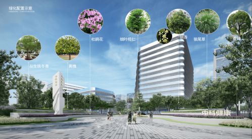 世界级项目 中科健康创新生物产业园 大宸设计产业园景观