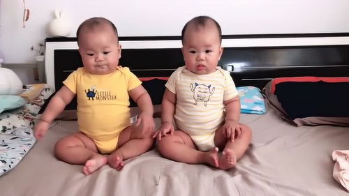 双胞胎宝宝虽然长相一样,但性格却相差这么多,好神奇啊 